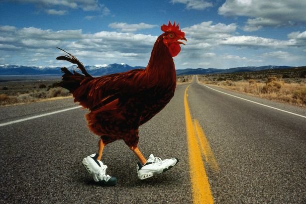 Chicken road españa - Descubre el Emocionante Juego de Azar en la Chicken Road Casino de España